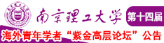 亚洲美女艹南京理工大学第十四届海外青年学者紫金论坛诚邀海内外英才！